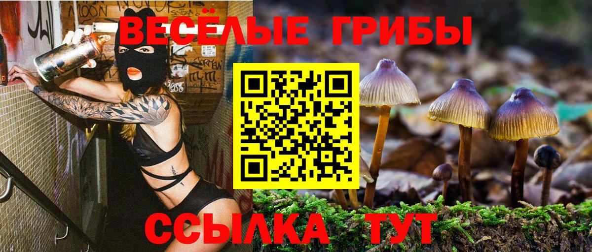Галлюциногенные грибы мицелий  дарнет шоп  Мегион  Вход с VPN 
